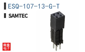 ESQ-107-13-G-T