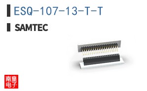 ESQ-107-13-T-T
