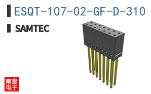 ESQT-107-02-GF-D-310