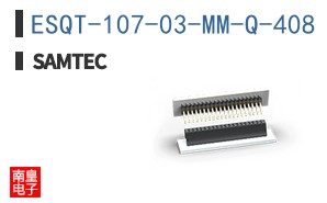 ESQT-107-03-MM-Q-408