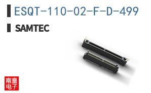 ESQT-110-02-F-D-499
