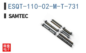 ESQT-110-02-M-T-731