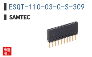 ESQT-110-03-G-S-309