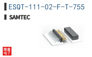 ESQT-111-02-F-T-755