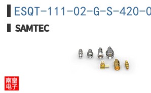 ESQT-111-02-G-S-420-001