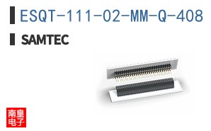 ESQT-111-02-MM-Q-408