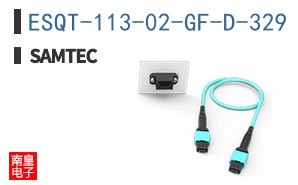 ESQT-113-02-GF-D-329