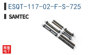 ESQT-117-02-F-S-725