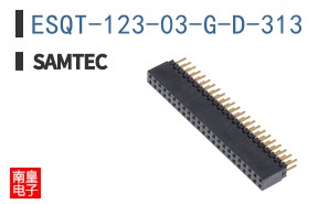 ESQT-123-03-G-D-313