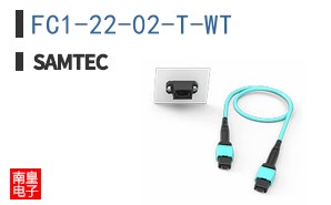 FC1-22-02-T-WT