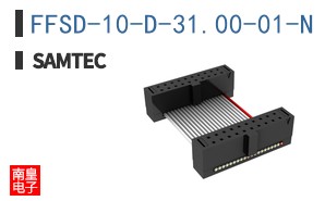 FFSD-10-D-31.00-01-N