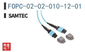 FOPC-02-02-010-12-01