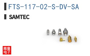 FTS-117-02-S-DV-SA