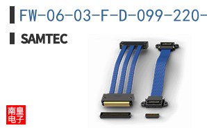 FW-06-03-F-D-099-220-FR