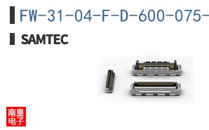 FW-31-04-F-D-600-075-ES