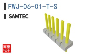 FWJ-06-01-T-S
