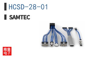 HCSD-28-01