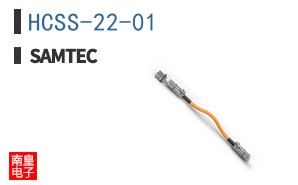 HCSS-22-01