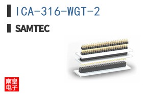 ICA-316-WGT-2