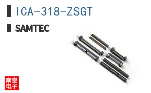 ICA-318-ZSGT
