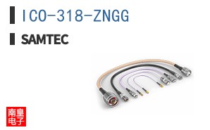 ICO-318-ZNGG