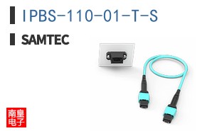 IPBS-110-01-T-S