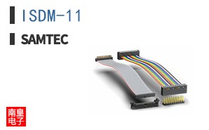 ISDM-11