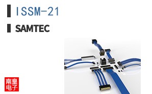 ISSM-21