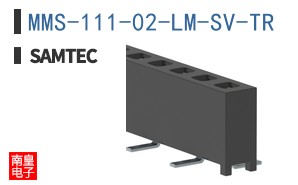 MMS-111-02-LM-SV-TR