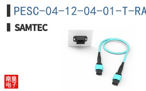 PESC-04-12-04-01-T-RA-LC