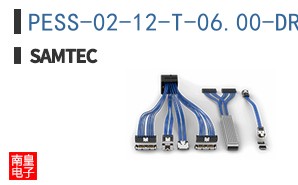 PESS-02-12-T-06.00-DR-NDS
