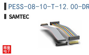 PESS-08-10-T-12.00-DR-NUS