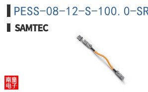 PESS-08-12-S-100.0-SR