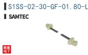 S1SS-02-30-GF-01.80-L1