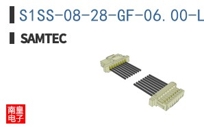 S1SS-08-28-GF-06.00-L1