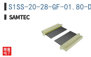 S1SS-20-28-GF-01.80-D-NDS