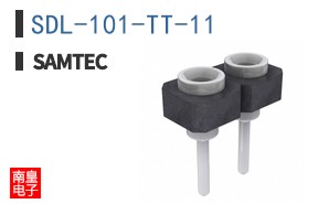 SDL-101-TT-11