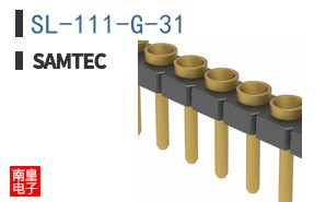 SL-111-G-31
