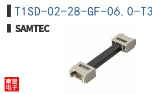 T1SD-02-28-GF-06.0-T3