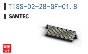 T1SS-02-28-GF-01.8