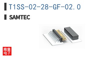 T1SS-02-28-GF-02.0