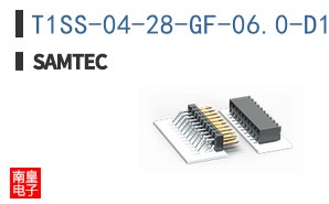 T1SS-04-28-GF-06.0-D1