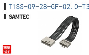 T1SS-09-28-GF-02.0-T3