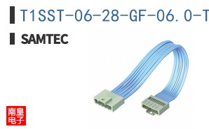 T1SST-06-28-GF-06.0-T3