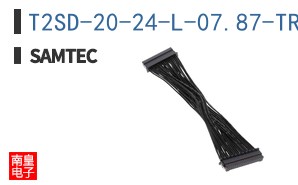 T2SD-20-24-L-07.87-TR-NUS