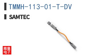 TMMH-113-01-T-DV