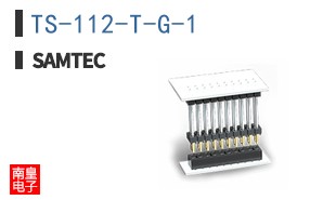 TS-112-T-G-1