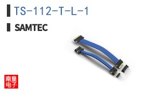 TS-112-T-L-1