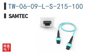 TW-06-09-L-S-215-100