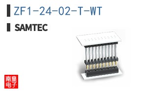 ZF1-24-02-T-WT
